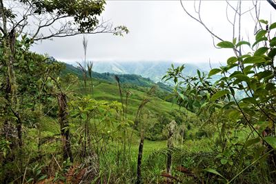 San Isidro Landschaft